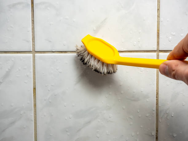 Best Affordable Mold Removal  in Saxonburg, PA