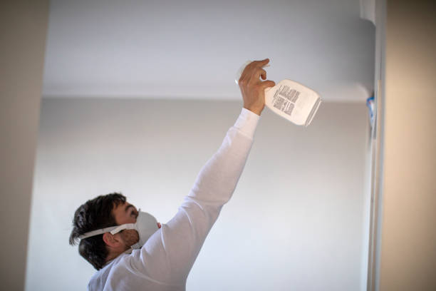  Saxonburg, PA Mold Removal Pros