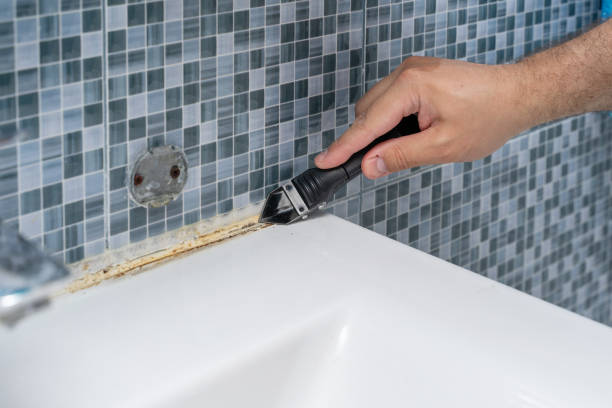 Best Black Mold Removal  in Saxonburg, PA