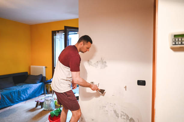 Best Local Mold Removal Service  in Saxonburg, PA